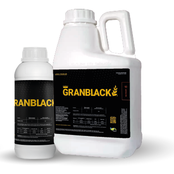 GRANBLACK