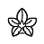Cultura OrnamentaIS Amazonagrosciences